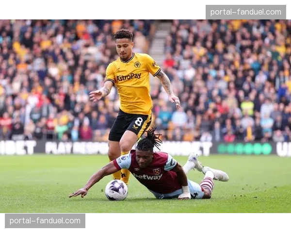 西汉姆联对阵狼队比赛因球迷冲入场内短暂中断